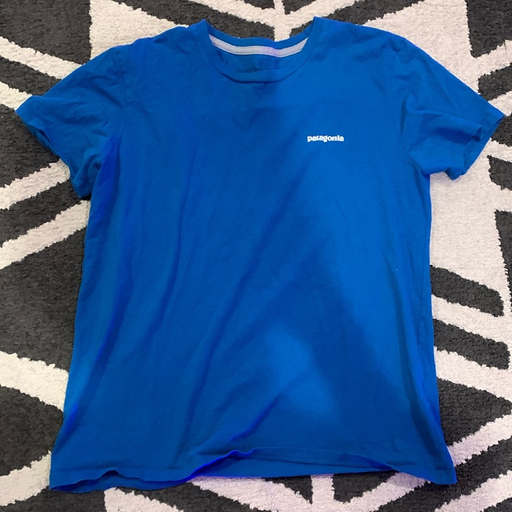 Patagonia, small, regular fit, blue T- shirt